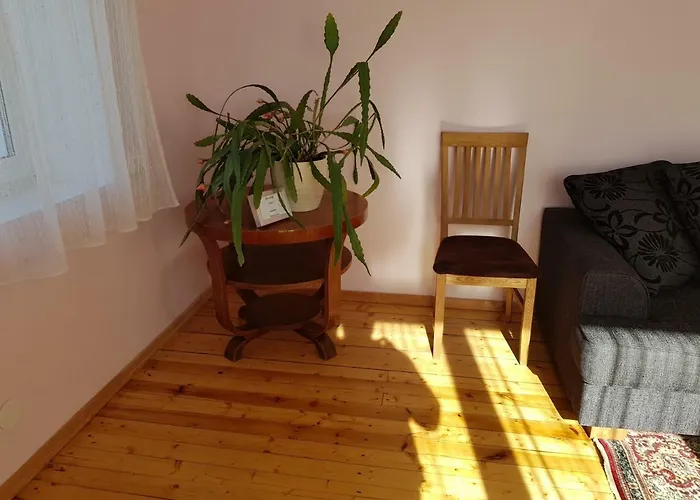 Viru Maja Tatil Evi